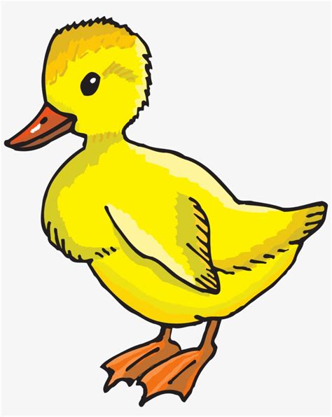 yellow duck pictures|yellow ducks clip art.